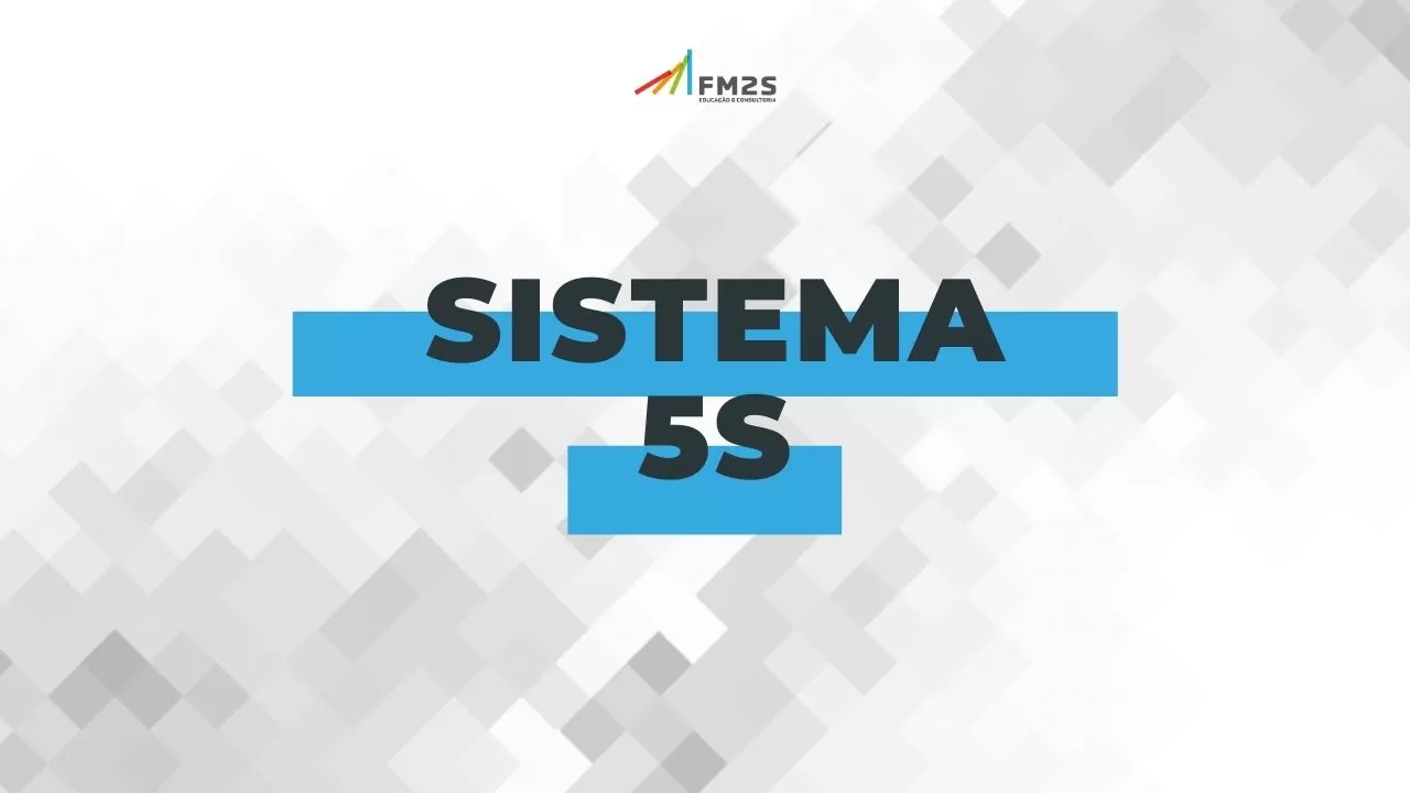 O que é o curso 5S da FM2S?